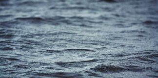 Ile kosztuje woda w Czechach?