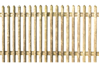 Co sprawdzają na granicy?