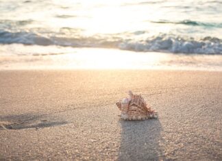 Gdzie Włosi jeżdżą na wakacje?