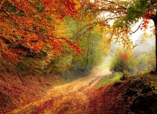 Kiedy zaczyna się rok szkolny we Włoszech?