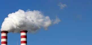 Kto najdłużej pracuje na świecie?