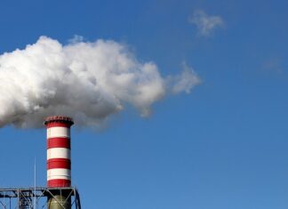 Kto najdłużej pracuje na świecie?