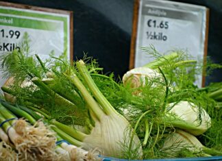 Co to znaczy absynt?