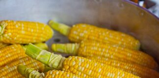 Po co kukurydza w piwie?