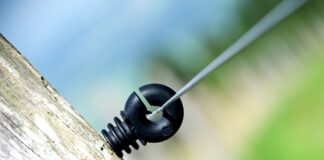 Czy w Pradze lubią Polaków?