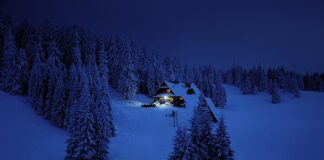 Jaki kraj jest 23 razy mniejszy od Polski?