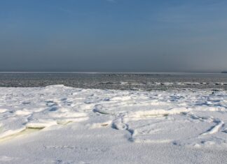 Czy zimą można jeździć na światłach dziennych?