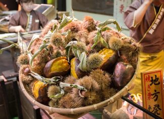 Jak dojechać do Czech pociągiem?