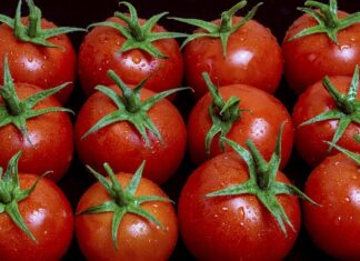 Czemu Włosi nie lubią ketchupu?