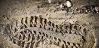 Po co Odcisk palca w dowodzie osobistym?