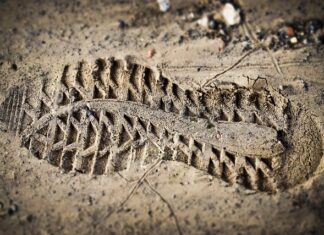 Po co Odcisk palca w dowodzie osobistym?