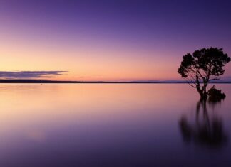 Ile kosztuje butelka wody w Rzymie?