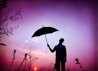 Jakie drogi obejmuje winieta?