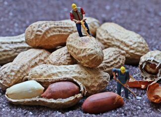 Ile godzin dziennie pracują Włosi?