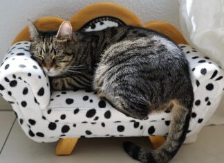 Jak długo trwa Siesta we Włoszech?